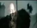 videos de clouds over california music video