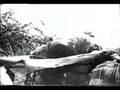 Nigeria war against Biafra 1967-1970 (part 3)