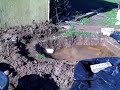 pond beside greenhouse