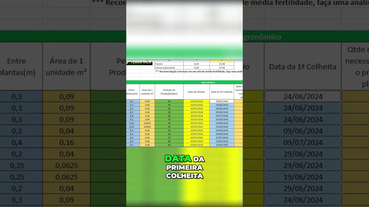 Datas e Dicas para Seu Primeiro Plantio em 2024