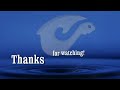 Short trip for halibut HD 720p