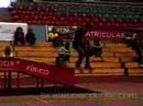 osorno recargado