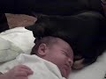 Paco Snuggles Felix Paco Snuggles Felix
