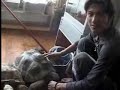 nic tse and his tortoise