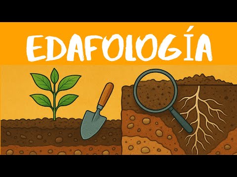 EDAFOLOGÍA - Nociones de conservación de suelos