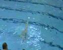 Duo Bielorusse Natation Synchronis�e aux France N1 2008