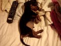 bedussey having bad dreams