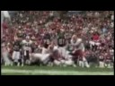 Sean Taylor Tribute Sean Taylor Tribute