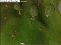 Normal Tree