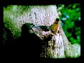 un-jour-sur-terre.html