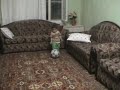 hazar g�l k���k futbolcu malatya arapgir