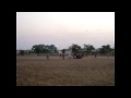Partidito Entrenamiento