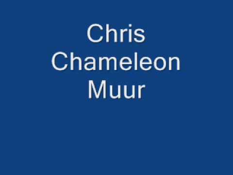 Chris Chameleon Muur