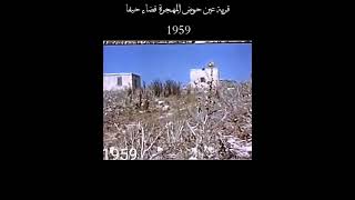قرية عين حوض المهجرة قضاء حيفا 1959