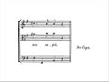 G.F. Handel - Mi palpita il cor - Andreas Scholl (2 of 2)