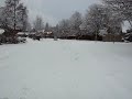 bashy in snow