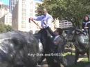 The Joe Show -- New Products From Dallas