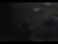 Shiniboki 死に簿記 Final Live - Impotence (2/3)