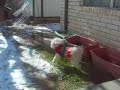 Snow is melting!