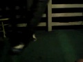 best c walk