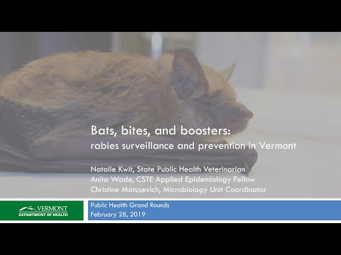 Bats, Bites and Boosters, Oh My: A Review of Rabies Surveillance, Testing and Control