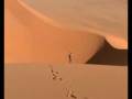 videos de www.elbaeumberto.com Sahara Libico, Mare di Sabbia Murzuq 3