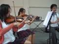 Music at Traill International Music at Traill International