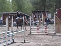 Fortismo tävlar 1 m