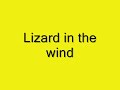 Wind lizard.wmv