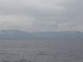 2007/03/19A bord du bateau qui relie Ishigaki a Iriomote.On board of Ishigaki - Iriomote boat