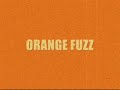 ORANGE FUZZ-WHEN I WAS YOUNG