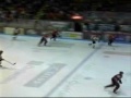 Kirill Tulupov #24 as a Tiger in a game vs Voltigeurs Kirill Tulupov #24 as a Tiger in a game vs Voltigeurs