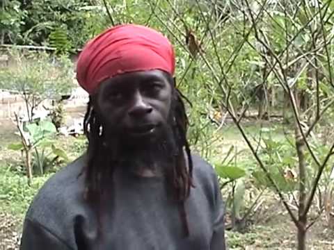 rastafarian - Informative interview with a Rastafarian in Jamaica.