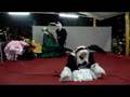 Rozen Maiden Cosplay ( Animepan 4+)