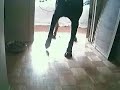 Bad limping, puts no weight on leg.