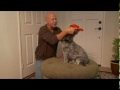 Comfort Soft Adjustable Harness