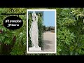 DEDICATED TO OUR GRANDDAUGHTER who likes mythology. Memories to Vienna Wien Wenen (4) Castle Schönbrunn (3) Garden: Statues