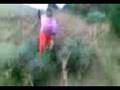 (DFS ) surf-man..the tree,s are up ....