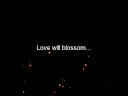 Two worlds collide: A JBLS INTRO