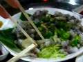 Eating Live Octopus - S. Korea