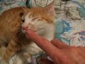 my animals  He knows my name