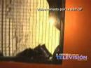 Dentro de la discoteca News Divine antes de la tragedi