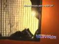 Dentro de la discoteca News Divine antes de la tragedi