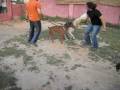 videos de MAVERICK & BAZUKA TRAINING  part 3 (1).AVI