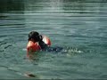 Julia goes swim in Freiburg City Lake Julia goes swim in Freiburg City Lake