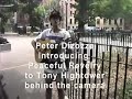peaceful revelry a parks song by peter dizozza