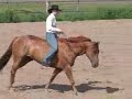 Staci and Poncho Musical Ride