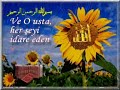 Risale-i Nur\ Risale-i Nur\