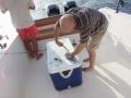 Fishing Adventures #29 - Trolling at Sir Bunair Island offshore Abu Dhabi