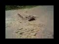 Bike wehicle 3D